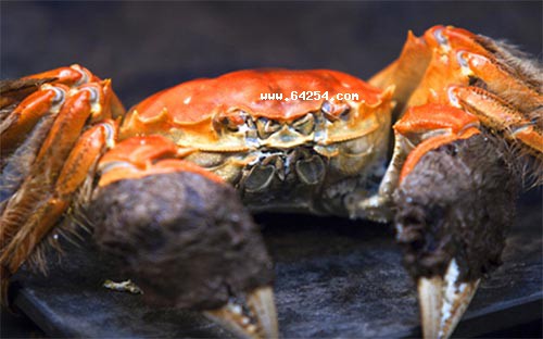 зʲôr