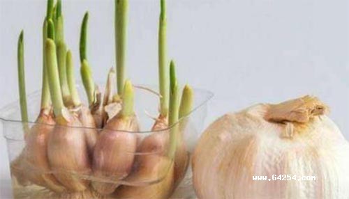 ĹЧЩ