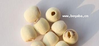 _(ti)Դɏ