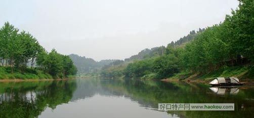 Yʲôخa