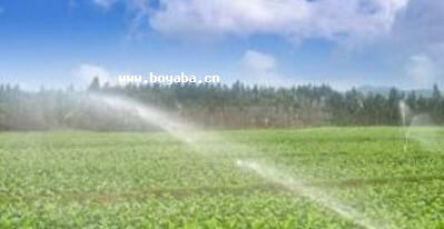 (yu)|(zh)~