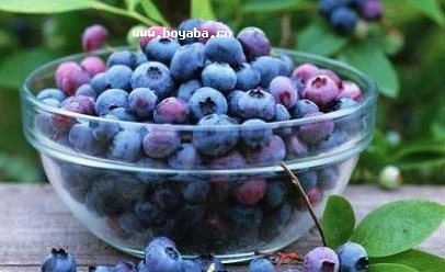 f{(ln)ݮ