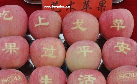 匎ϸO