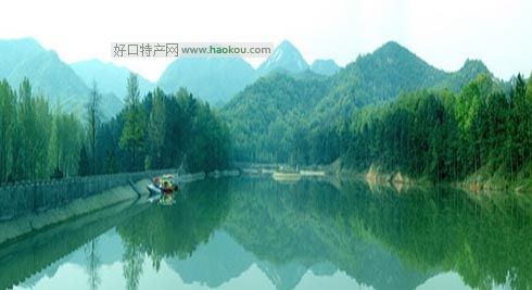vRʲôخa(chn)