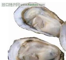 白玉蠔.jpg